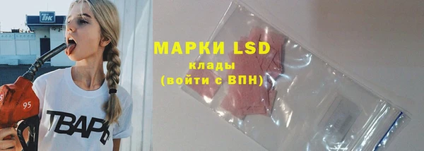 PSILOCYBIN Семёнов