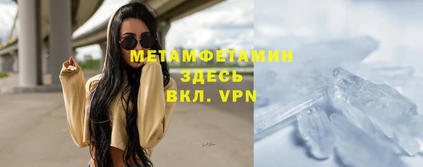 PSILOCYBIN Семёнов