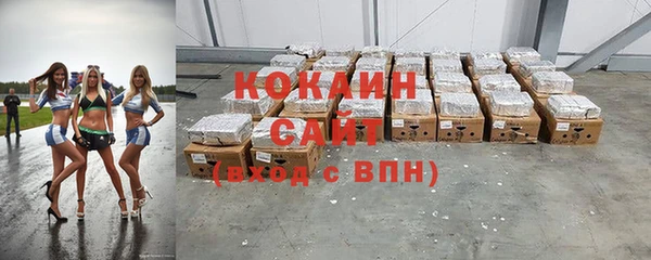 PSILOCYBIN Семёнов