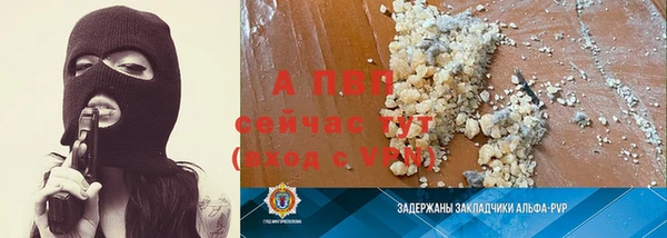 индика Анива