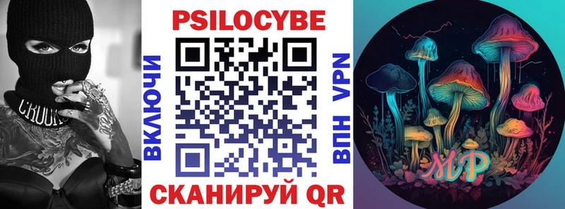 blacksprut рабочий сайт Тайшет Галлюциногенные грибы Psilocybine cubensis