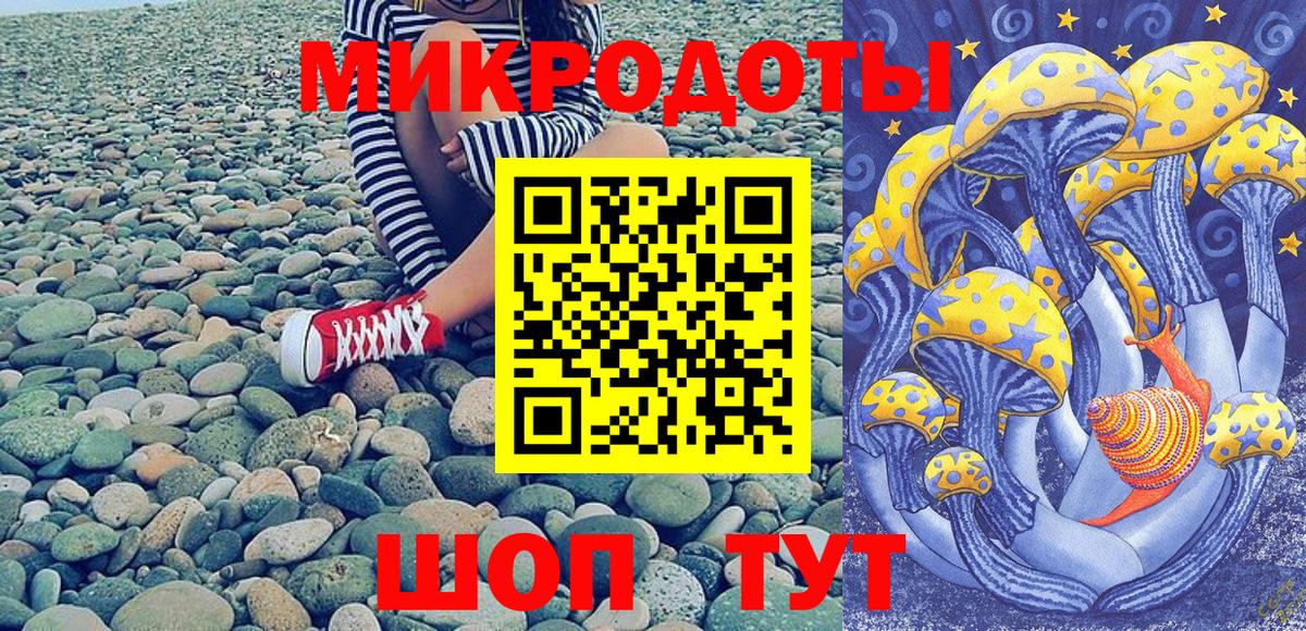 Псилоцибиновые грибы GOLDEN TEACHER  Вход с VPN  Галлюциногенные грибы Psilocybe  Тайшет 